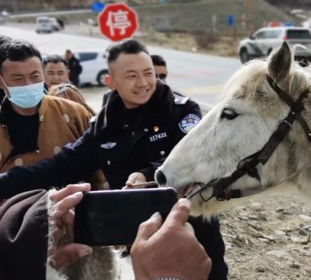 民警狂飙三千里追回牧民7匹被盗赛马?偷盗多少钱可以立案