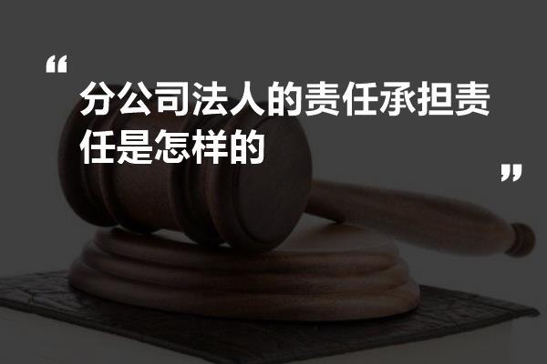 分公司法人的责任承担责任是怎样的