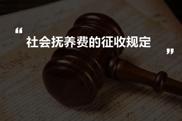 社会抚养费的征收规定