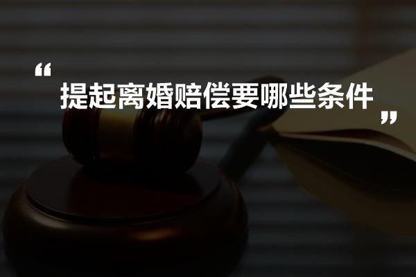 提起离婚赔偿要哪些条件