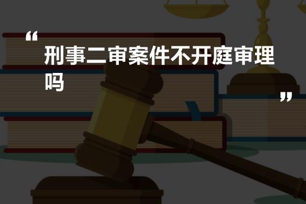 刑事二审案件不开庭审理吗