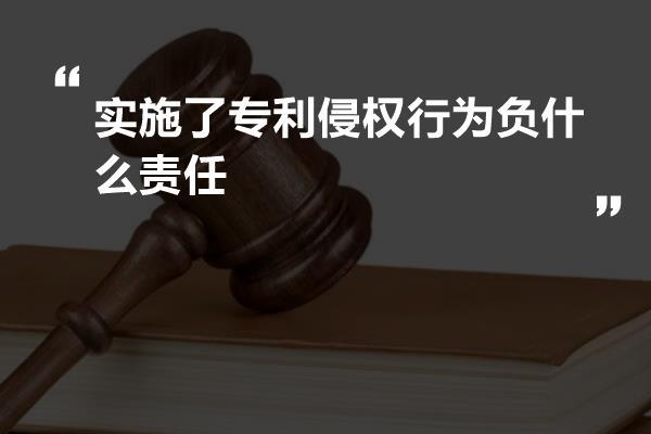 实施了专利侵权行为负什么责任