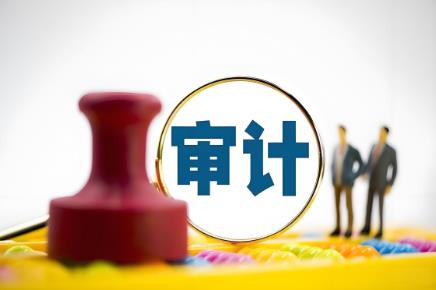 湖南省内部审计办法2025全文